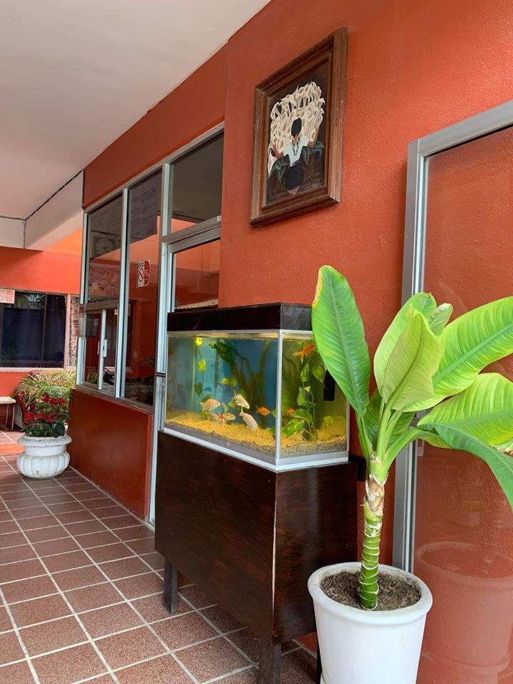 Hotel Bahia De La Paz Dış mekan fotoğraf